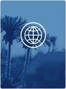 й(304am-VIP֤)-Official Platform