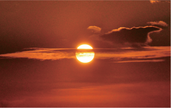 �й�����������(304am-VIP��֤)����-Official Platform